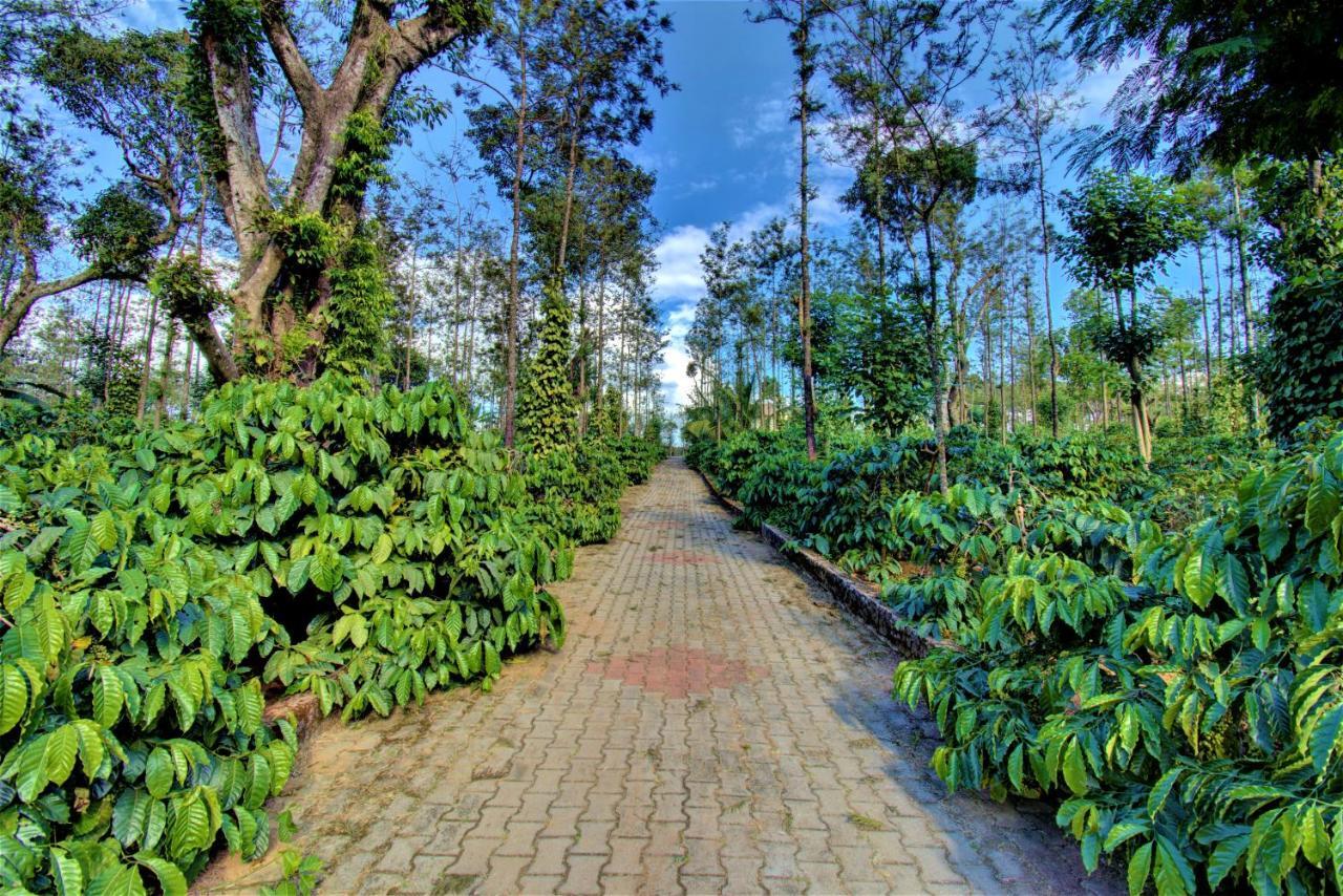 Coorg Bliss Estate Stay Madikeri Esterno foto