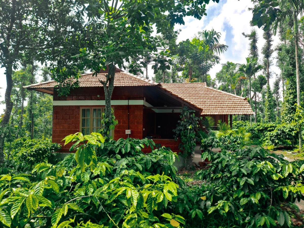 Coorg Bliss Estate Stay Madikeri Esterno foto
