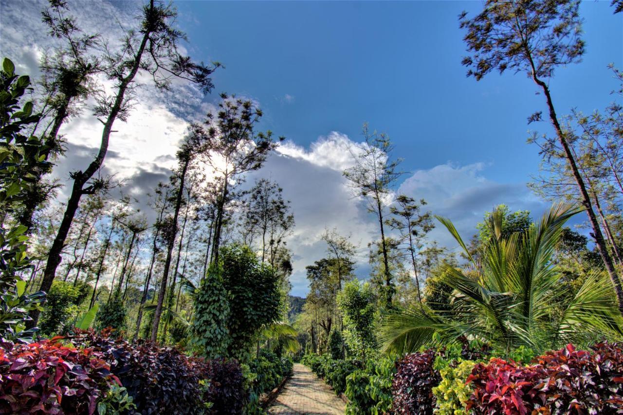 Coorg Bliss Estate Stay Madikeri Esterno foto