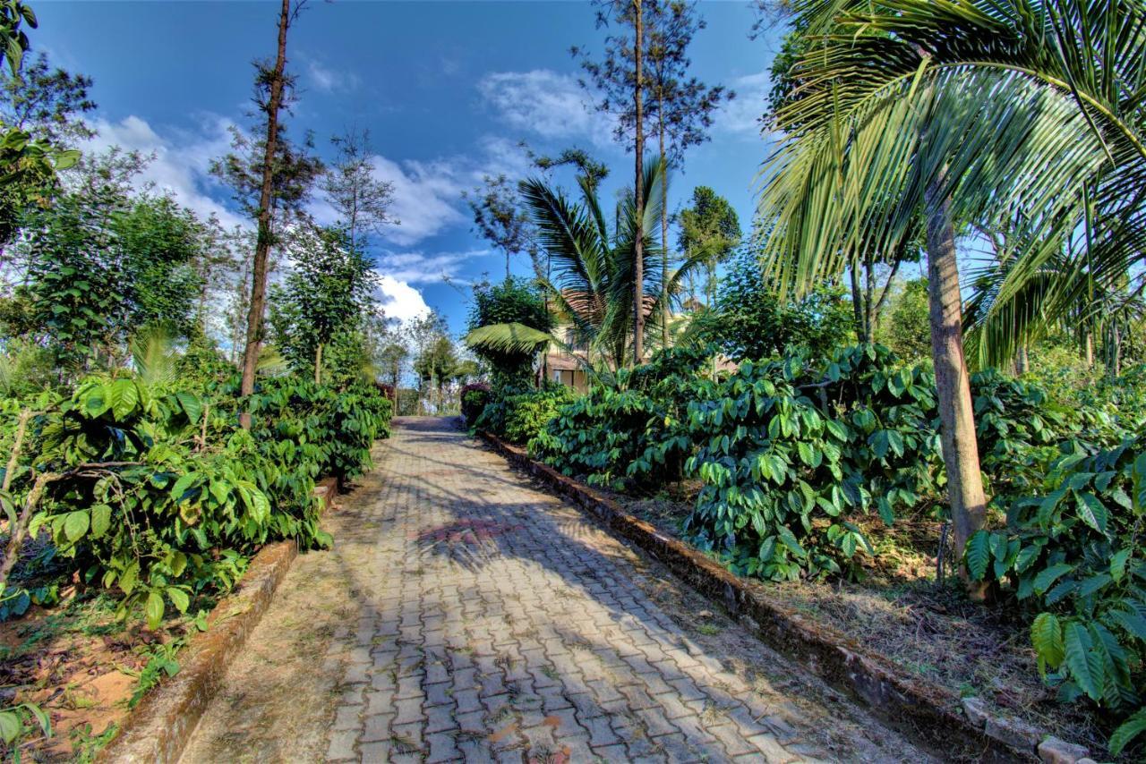 Coorg Bliss Estate Stay Madikeri Esterno foto
